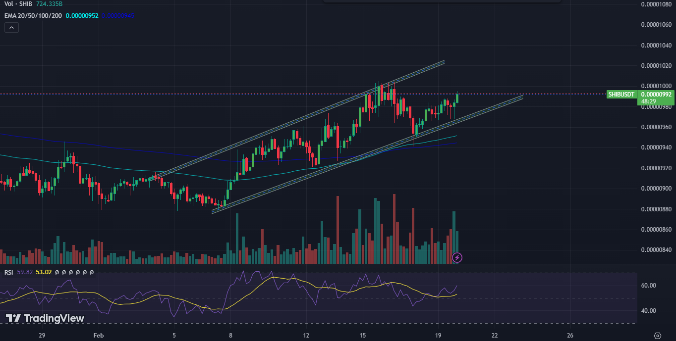 Shiba Inu Coin: Can SHIB Price Manage to Recover Past Losses?