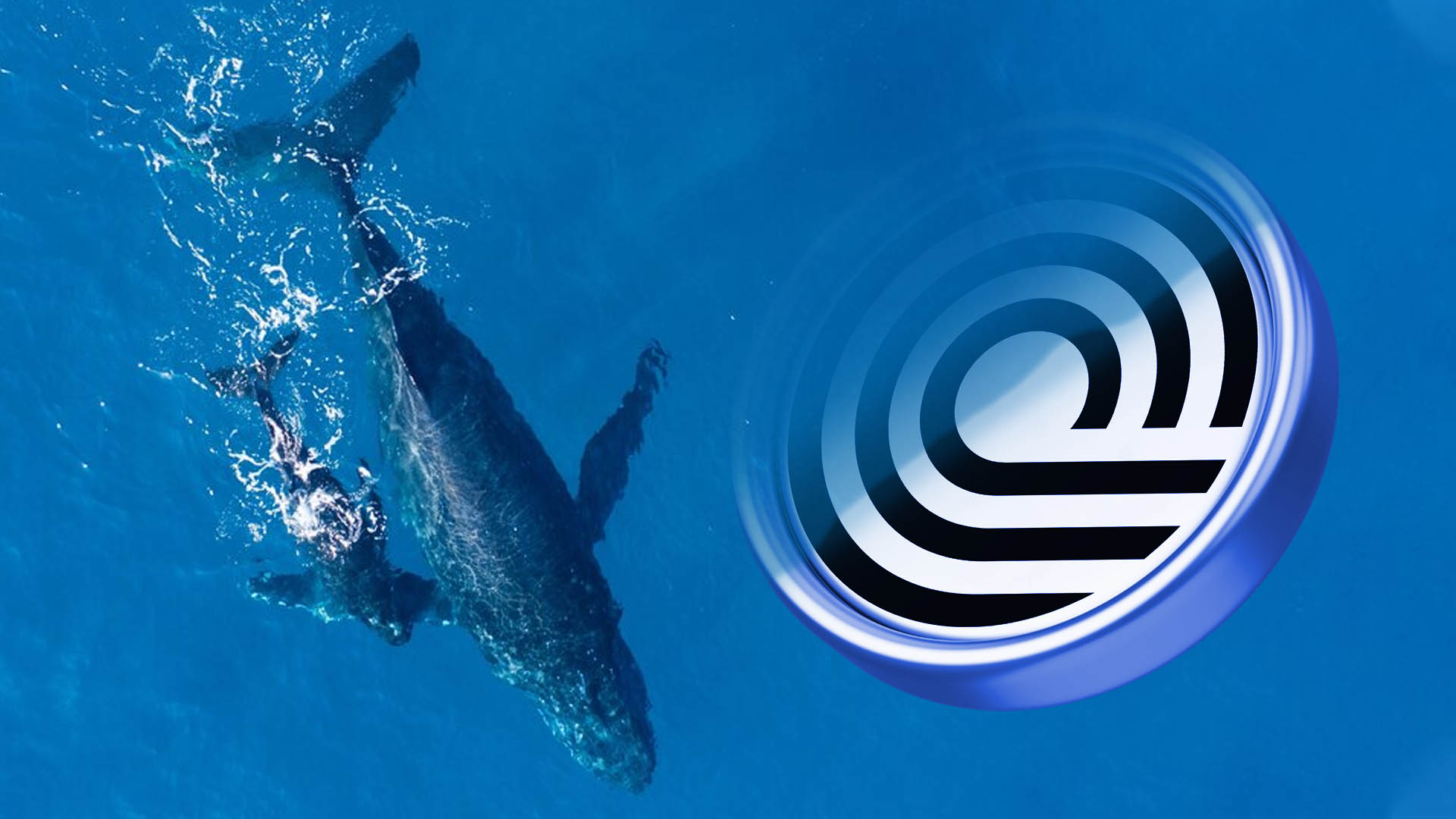 ONDO Crypto Near ATH: Could It Extend To $3 Mark In December?