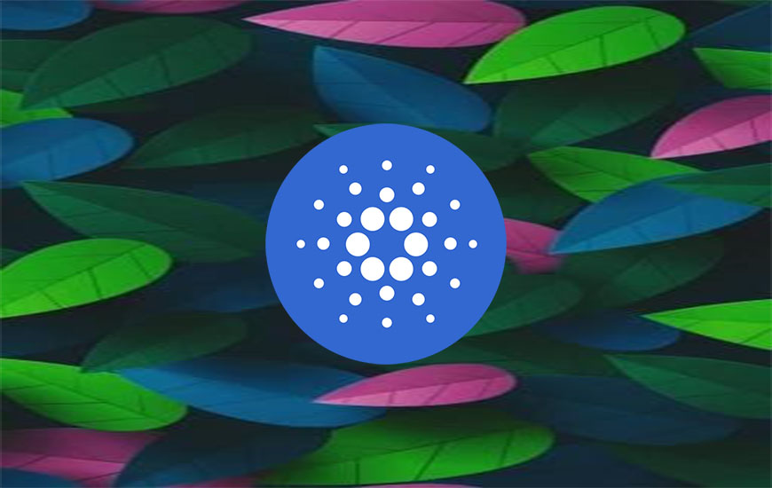 Dan Gambardello Calls Cardano Scalable Blockchain