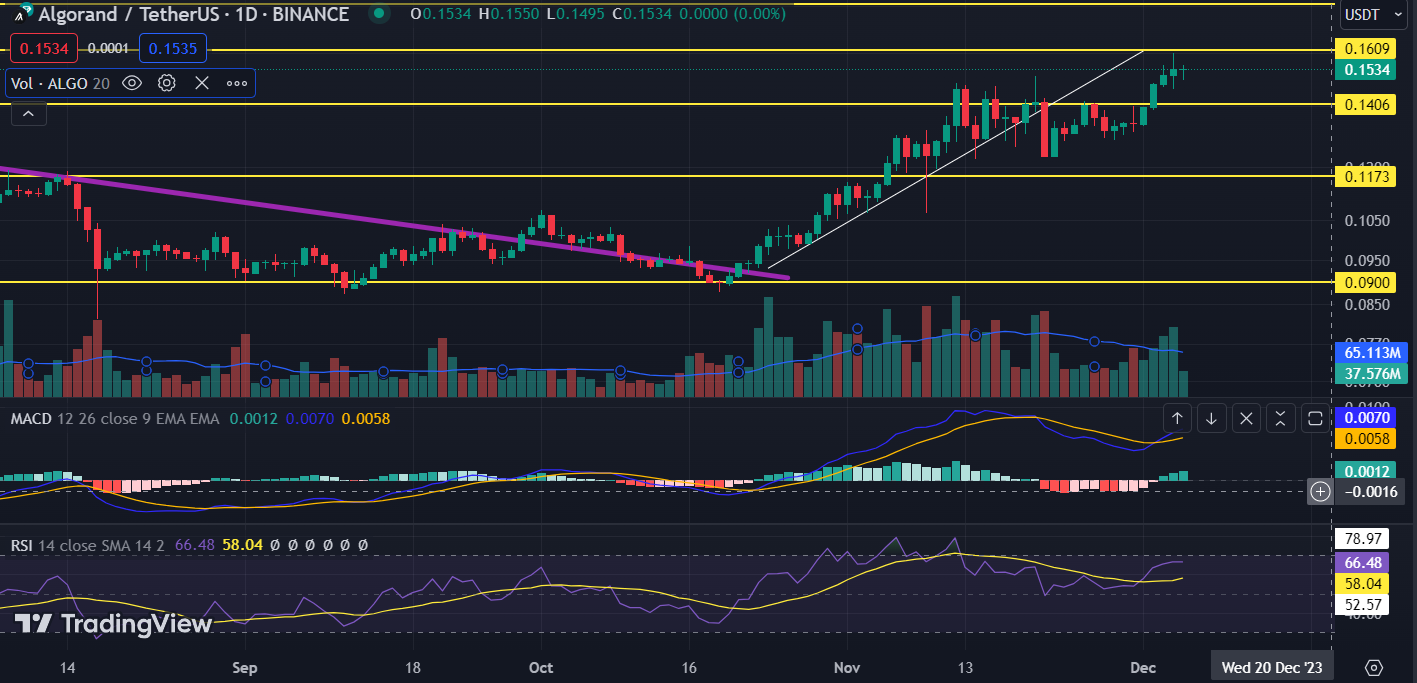 Will the Algorand Coin Price Reattain the $0.20 Level in 2023?