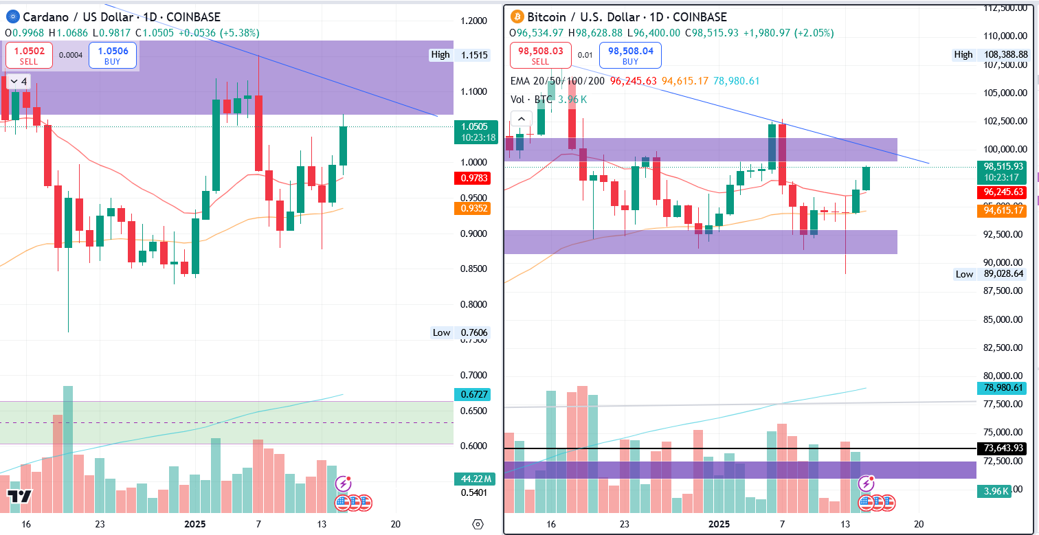 ADA/USD & BTC/USD 1.D. | Source: TradingView