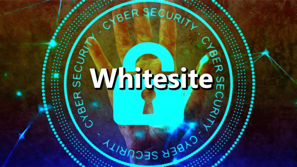 An Overview: What do you Mean by Whitelist, and How Does it Work?