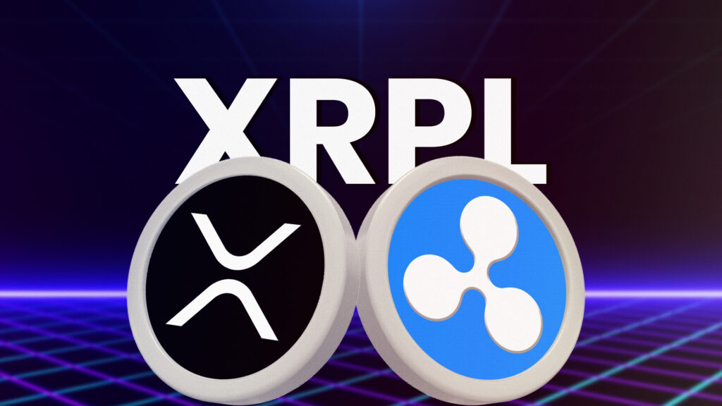 Resolve Your Confusion Regarding Ripple, XRPL, and XRP Here