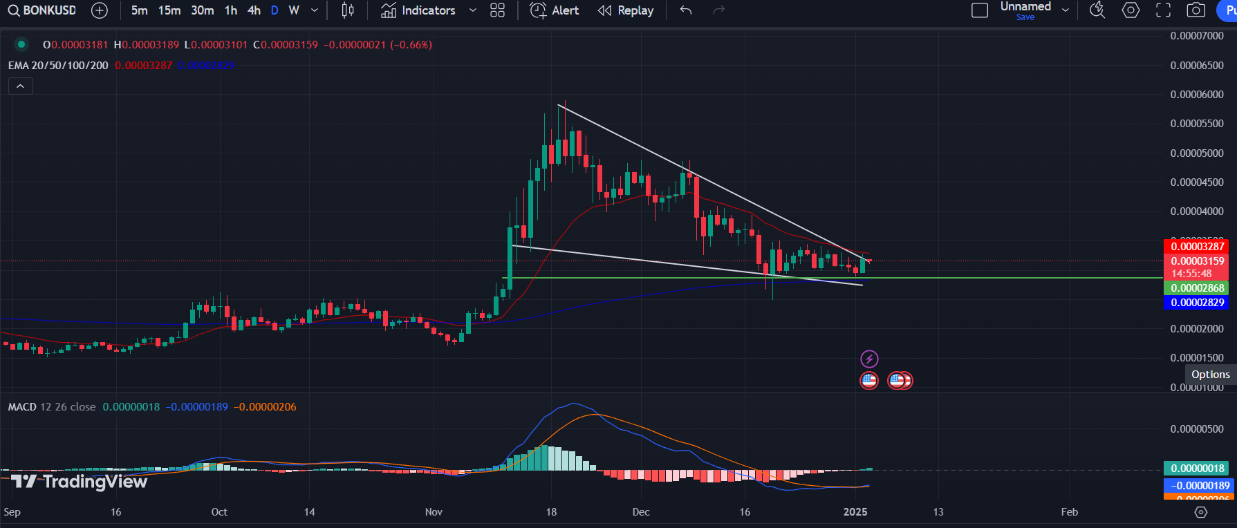 COINBASE: BONK/USD 1-D Chart | Source: TradingView