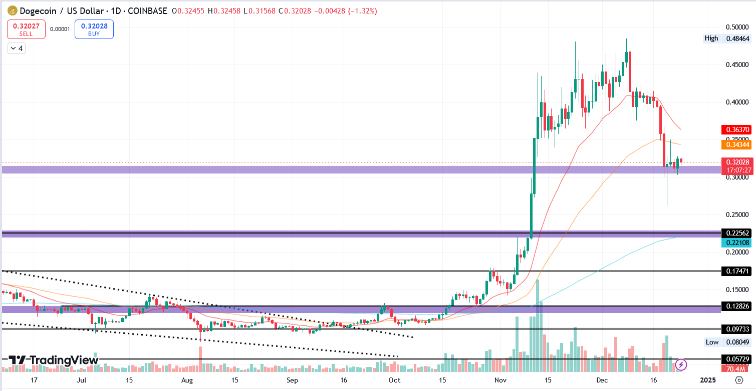 DOGE/USD 1.D. | Source: X