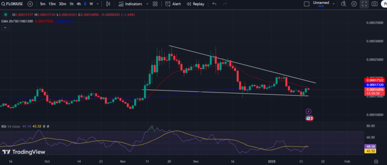 Floki Price Nearing Breakout With Solid Support At RSI: What’s Next?