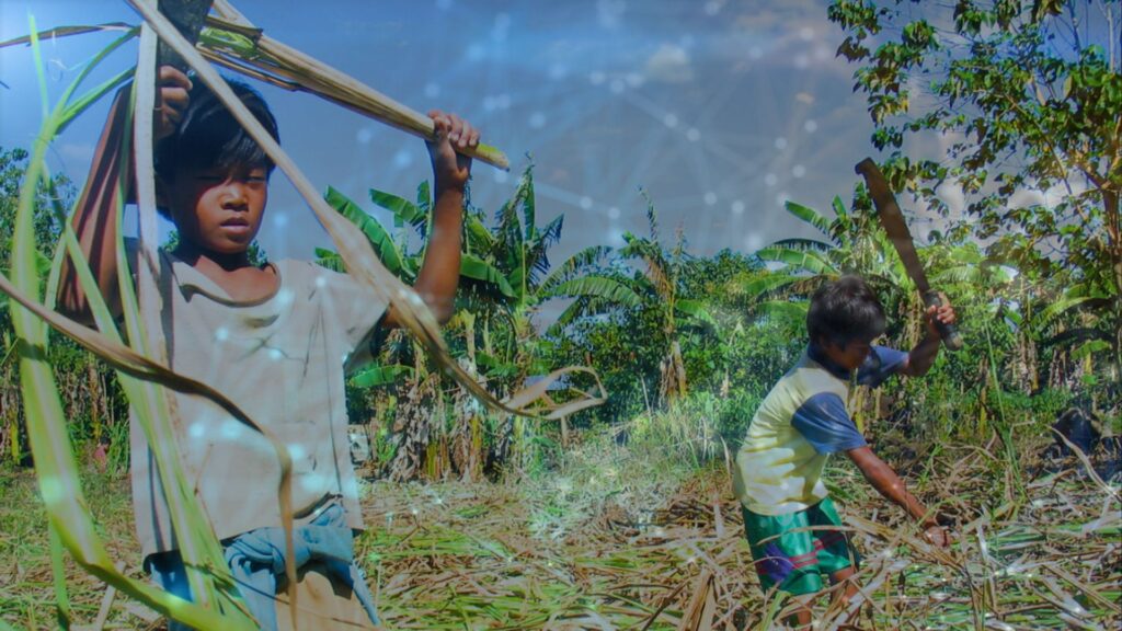 How Can Digitalization Curb Child Labor in Agriculture?