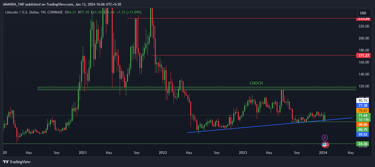Why Buyers Need To Push The LTC Crypto To Higher Levels?
