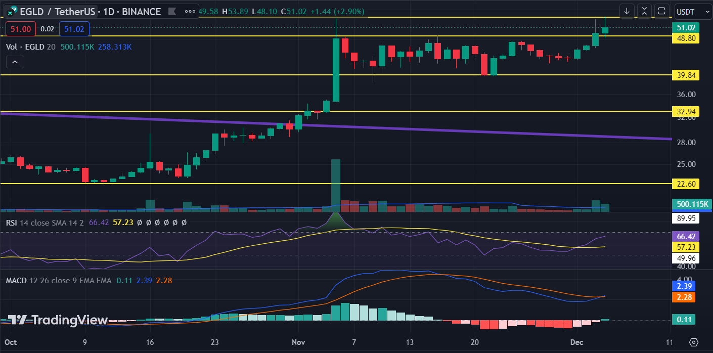 MultiversX Coin Surged by 15% in a Week; Will EGLD Rally Continue?