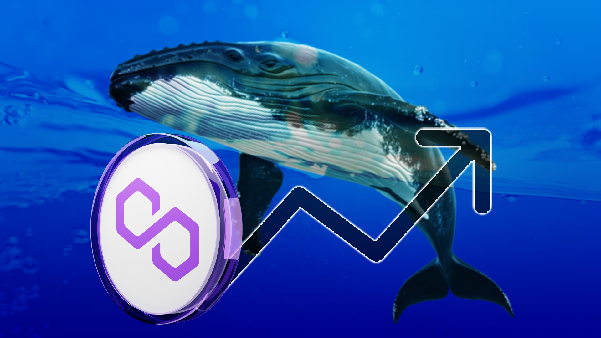 Polygon Crypto: TVL Crossed $1B & Whales Purchased 59M MATIC
