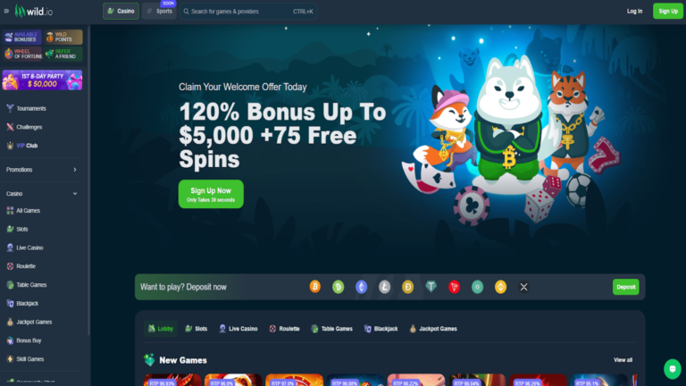 Maximizing Your Gaming Experience with Wild.io Casino's Exclusive Bonuses