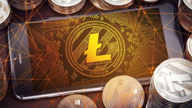 koala coin