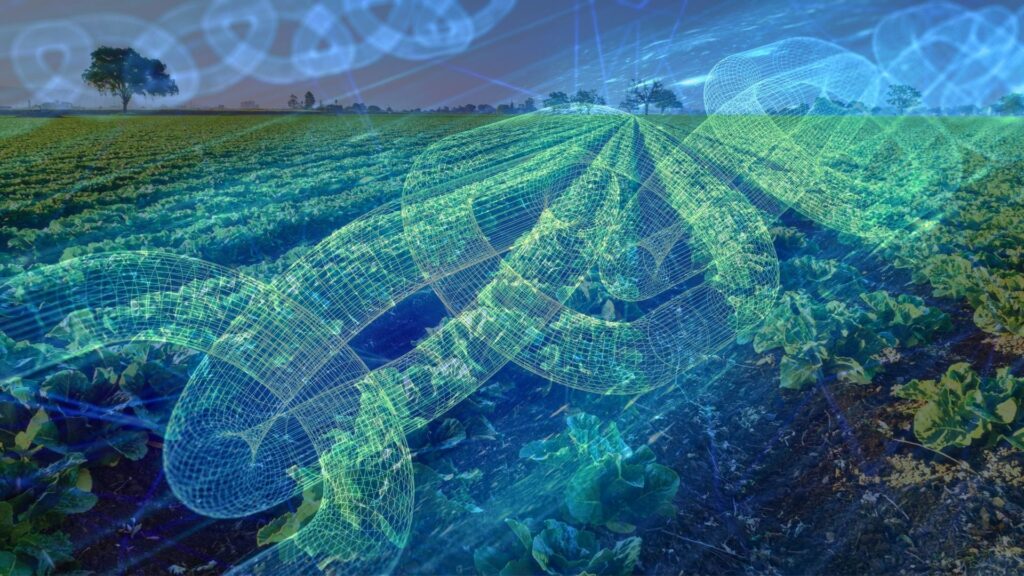 Revolutionize Food: Top 10 Blockchain Applications in Industry