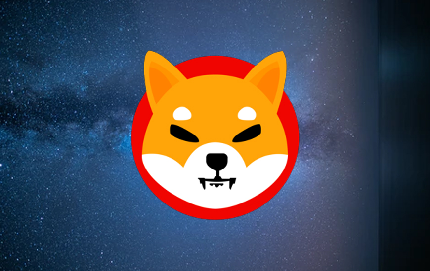 Shiba Inu Price Analysis: SHIB Token soars 20% ahead of a Coin Burnout