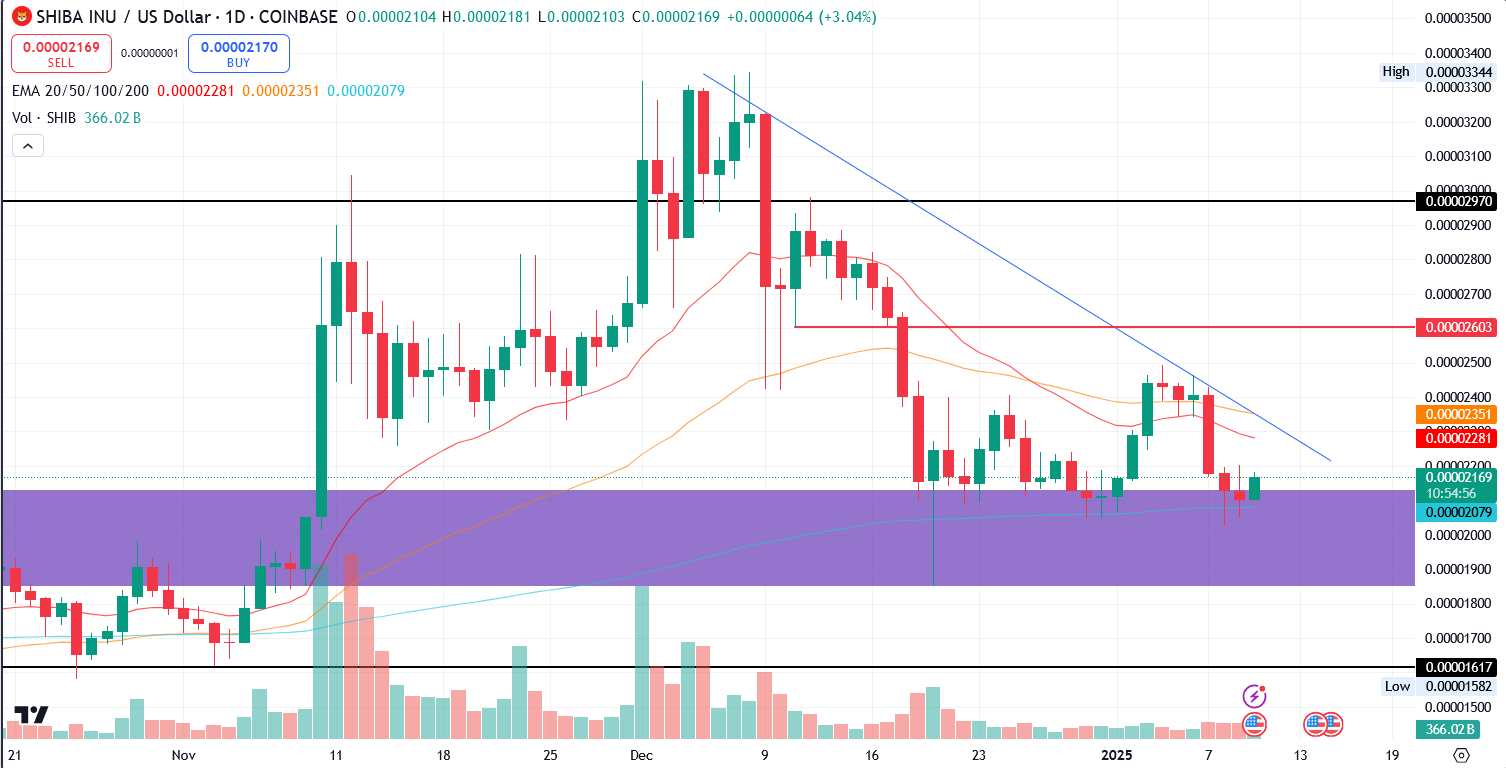 SHIB/USD 1.D. | Source: TradingView
