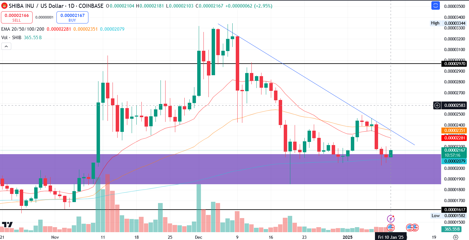 SHIB/USD 1.D. | Source: TradingView
