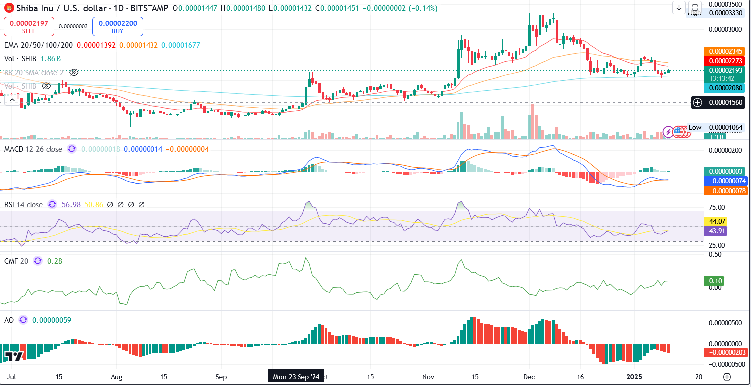 Shiba Inu / USD 1.D. | Source: TradingView