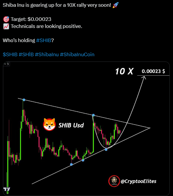 Shiba Inu Looks Bullish: Analysts Anticipate It To Grab 10x Rally