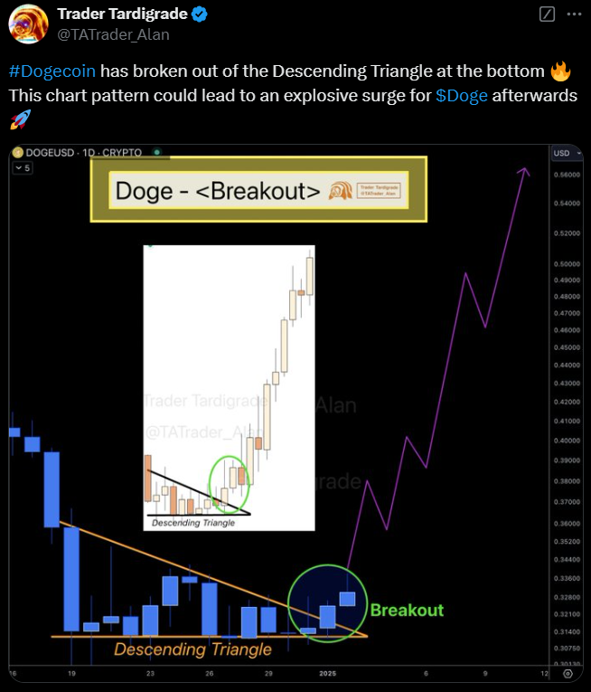 Dogecoin Price Could Explode Soon: Top Analyst Weighs In