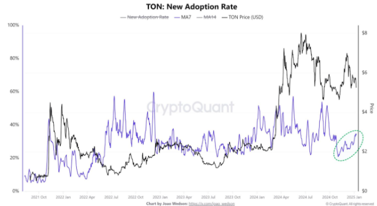 TON New adoption rate | Source: CryptoQuant