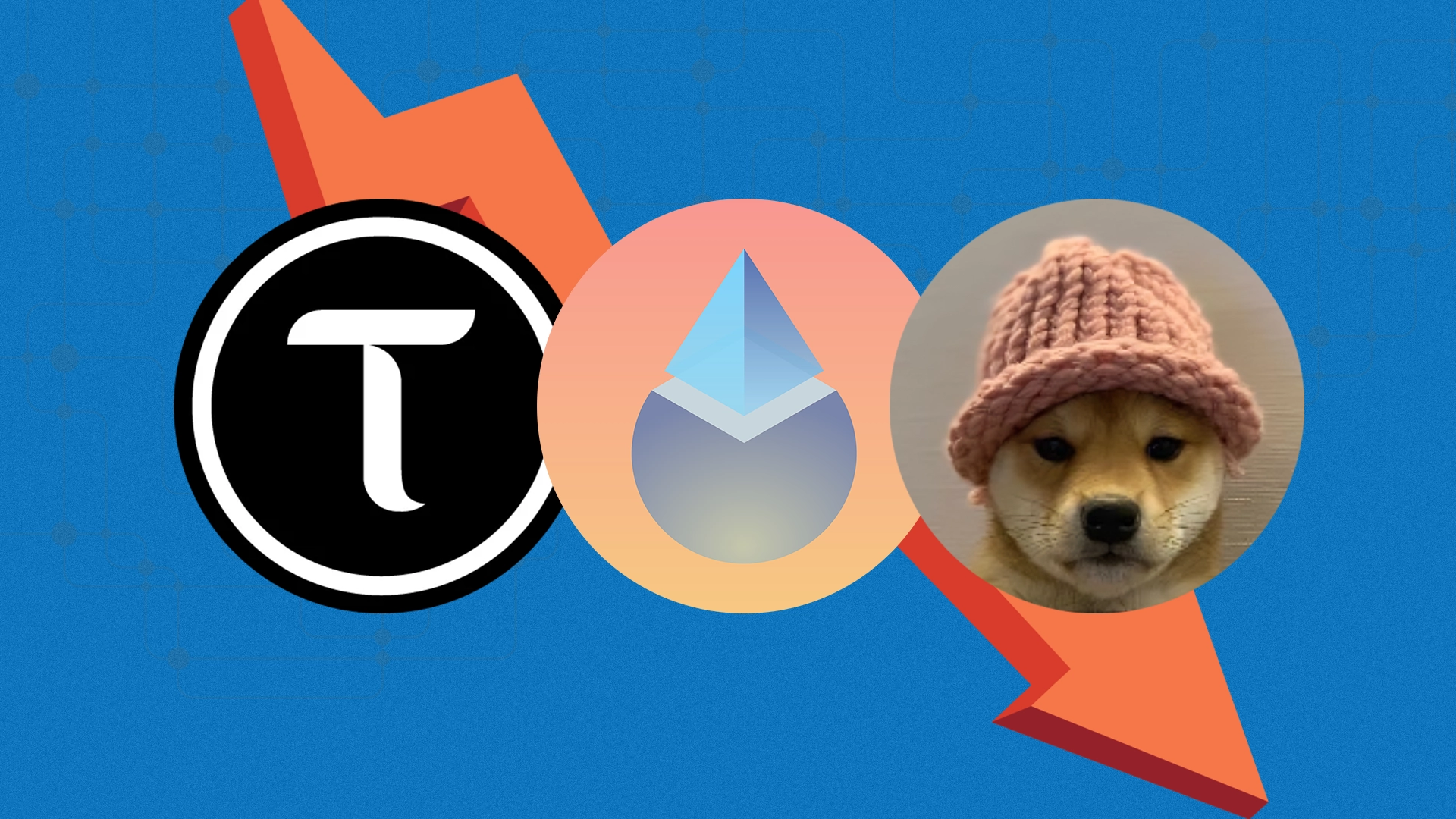 Top 3 Falling Coins Today: TAO, WIF, And LDO Technical Analysis