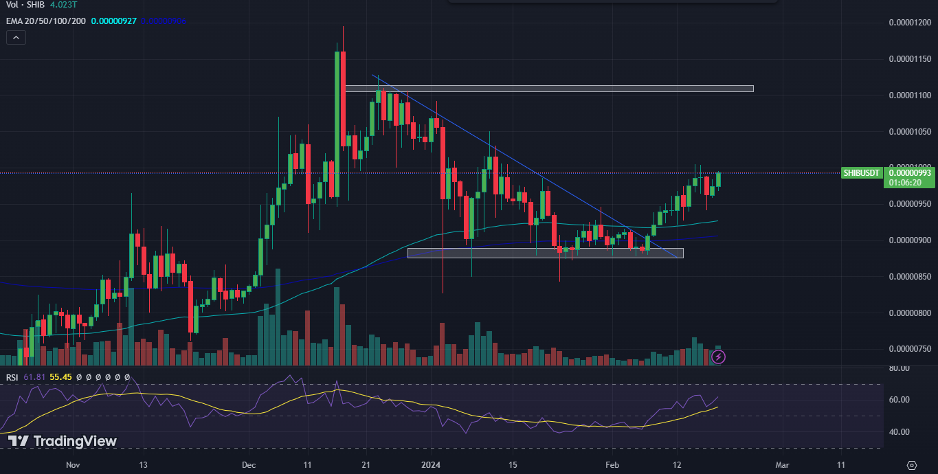 Shiba Inu Coin: Can SHIB Price Manage to Recover Past Losses?