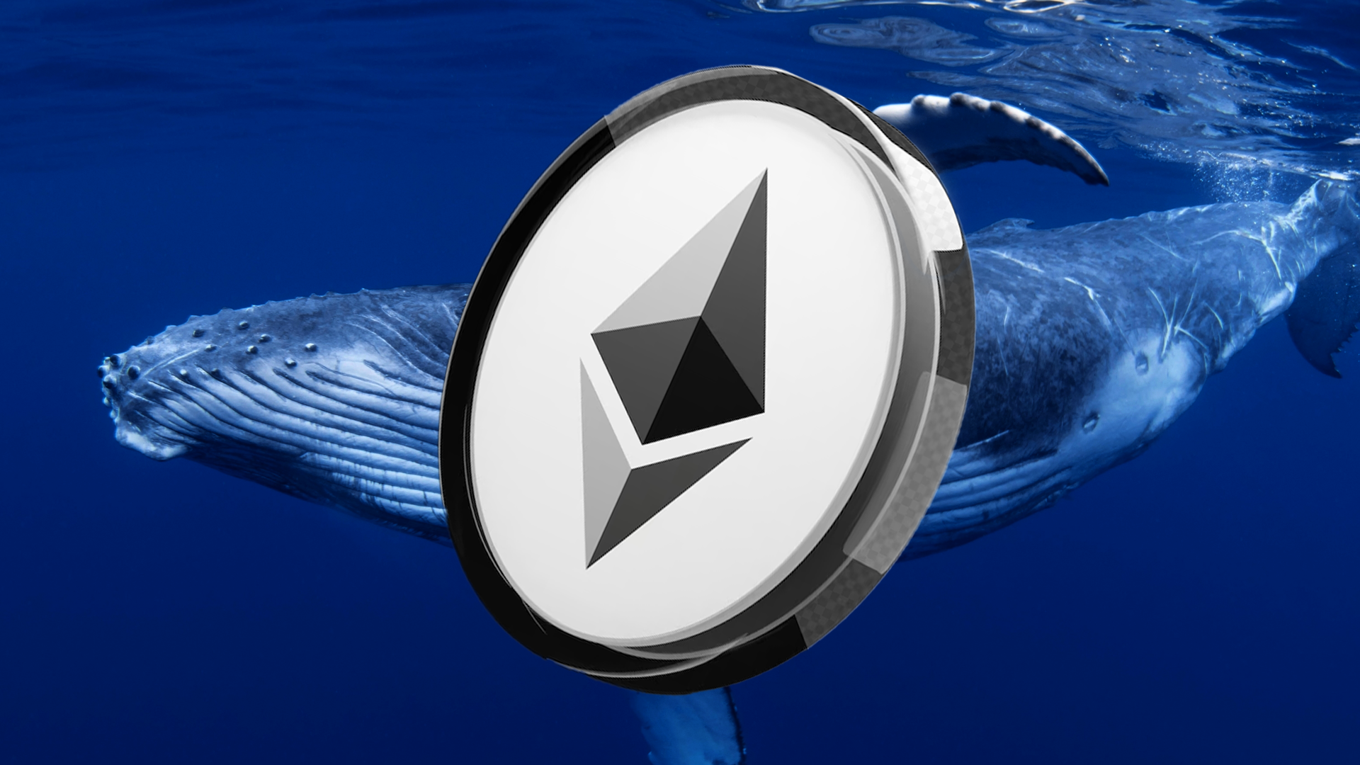 Ethereum Whale Accumulation Rises: Should Investors Consider Buying?