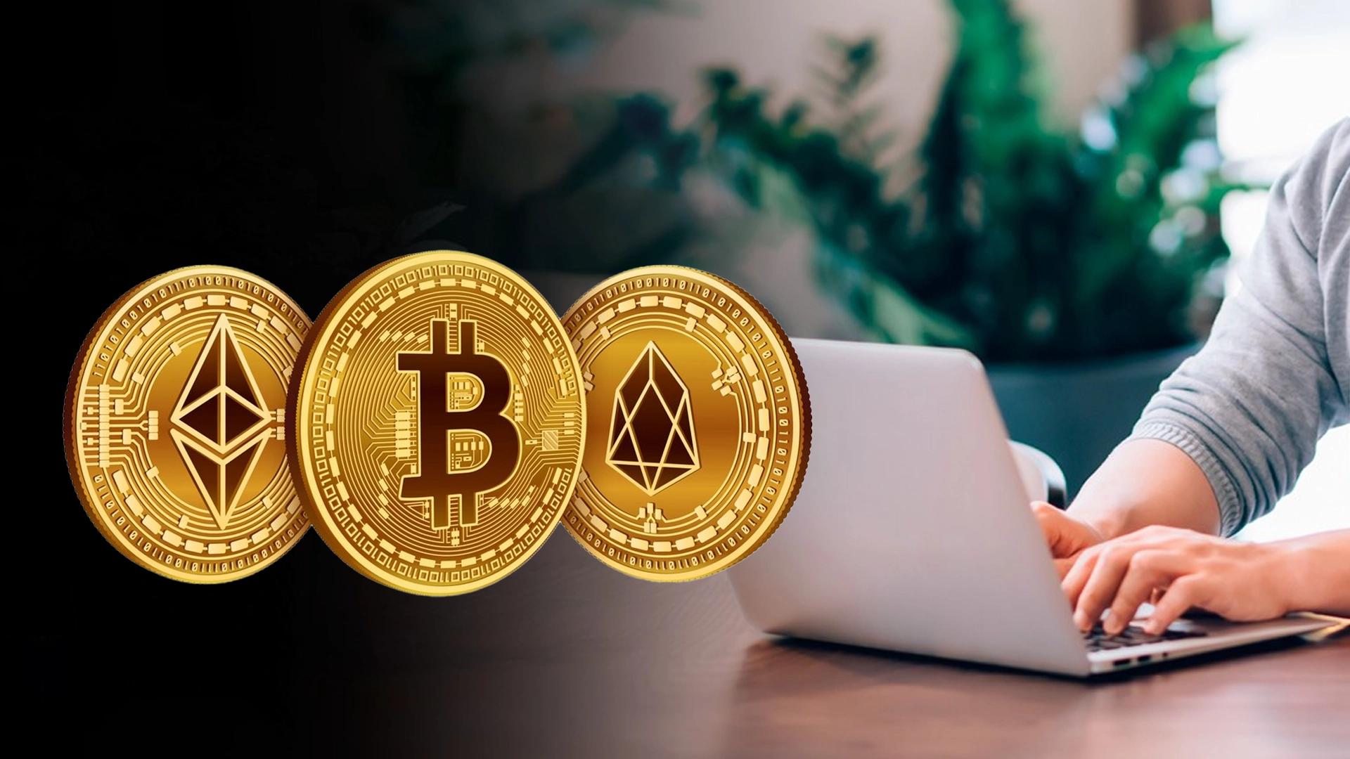 Top 7 Crypto Exchanges in New Zealand