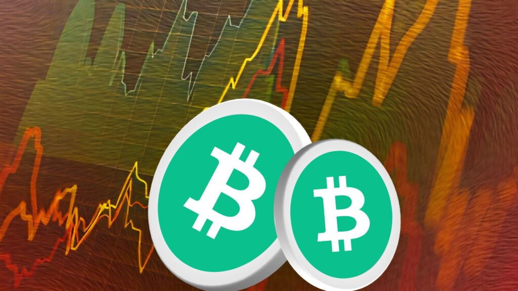 Will Bitcoin Cash Coin’s Consolidation Phase Continue?