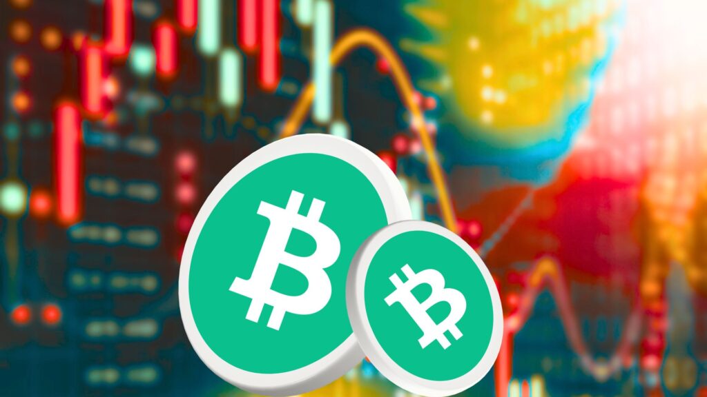 Will the Sideways Momentum Change in the BCH Coin in the Future?