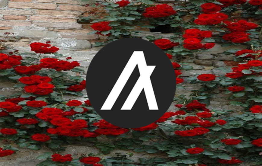 Algorand Price Analysis: How far has Rally progressed in Algo coin?