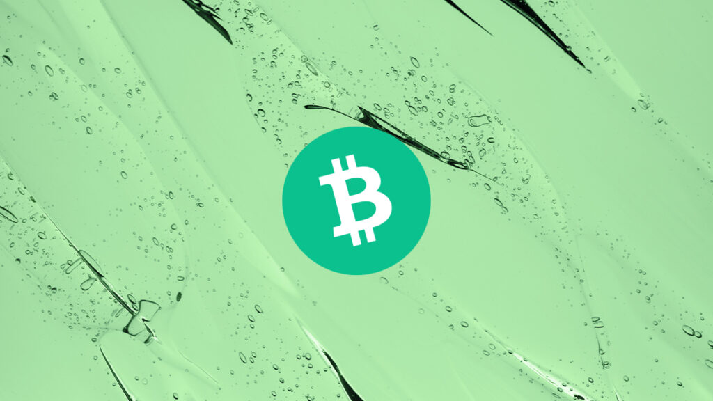 Bitcoin Cash Coin 2022 Price Prediction: Can BCH Hit $1000 in Upcoming Year?
