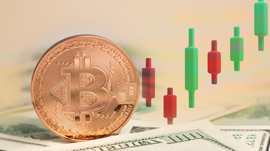 Bitcoin Price Soars High With New Whales Entering In Market