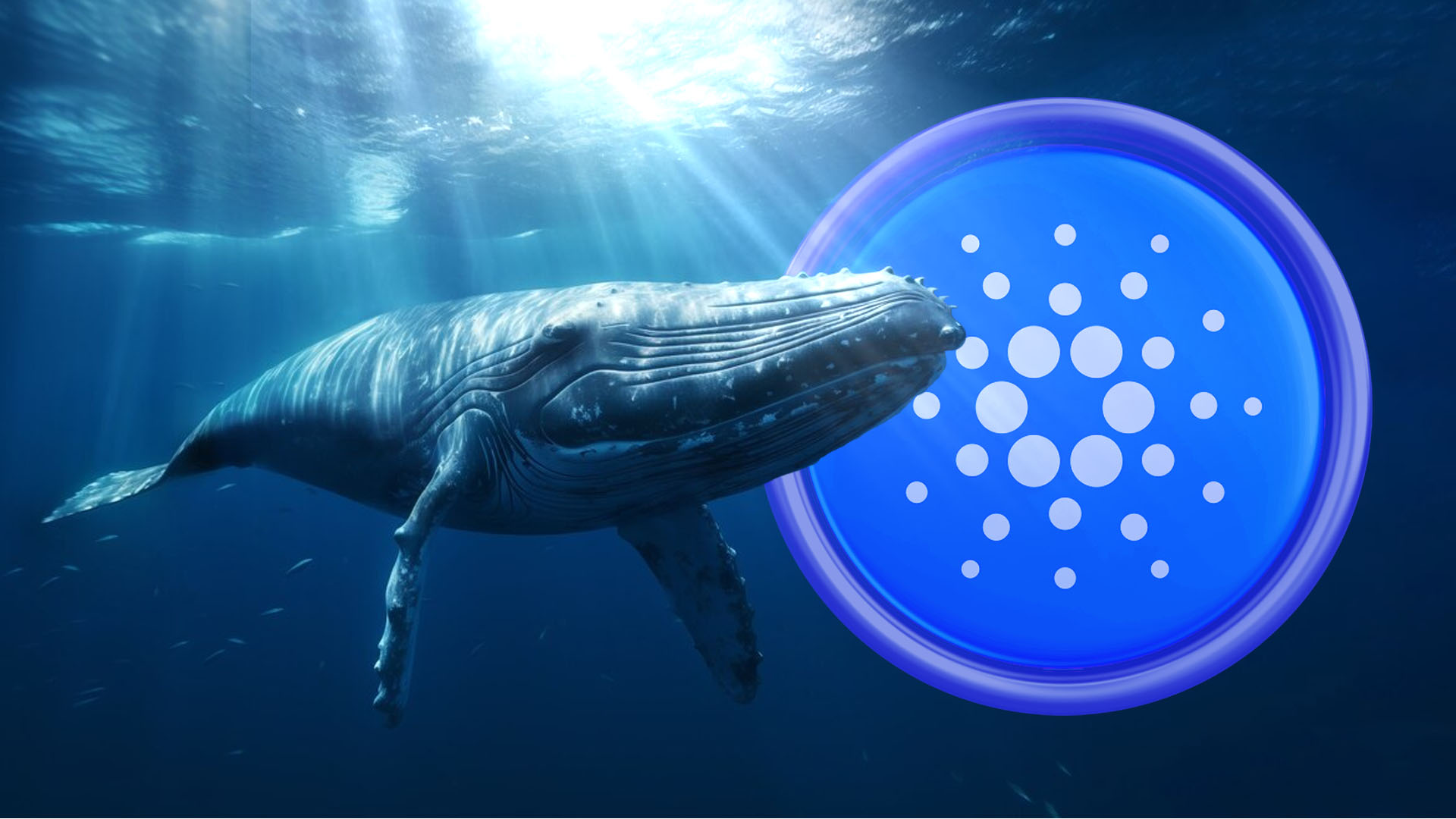 Whales Bag 100M ADA: Another Possible Rally In ADA Cardano Soon?