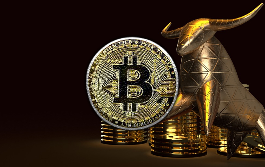 Bitcoin Price Analysis: The Bull Run Is Not Over Yet BTC Value Will Hit Above $100000 In 2021