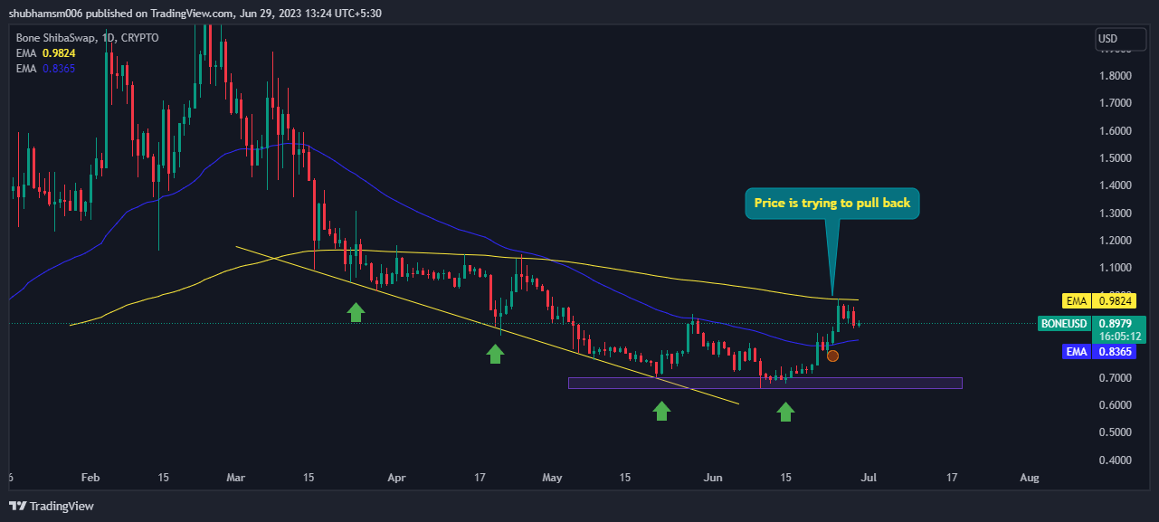 Bone Shiba Price Prediction: Is BONE Coin Bouncing Back?
