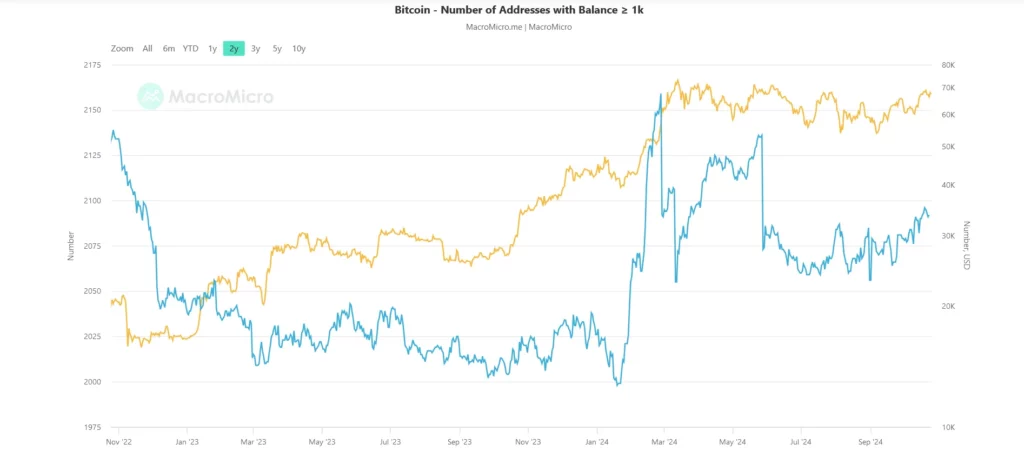 Number of addresses with balance of more than 1000 BTC