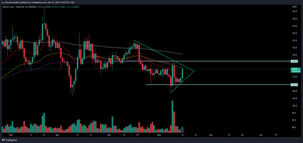 BCH Price