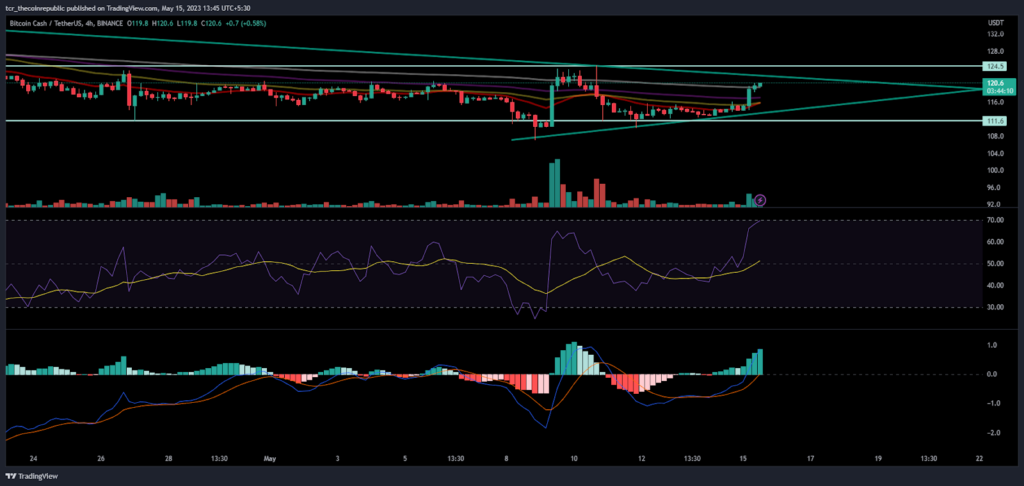 BCH Price