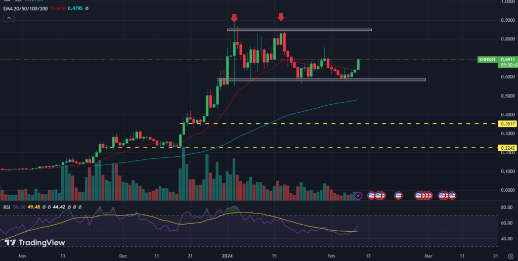 Sei Price is Up By 500% Since October; Will It Remain Profitable?
