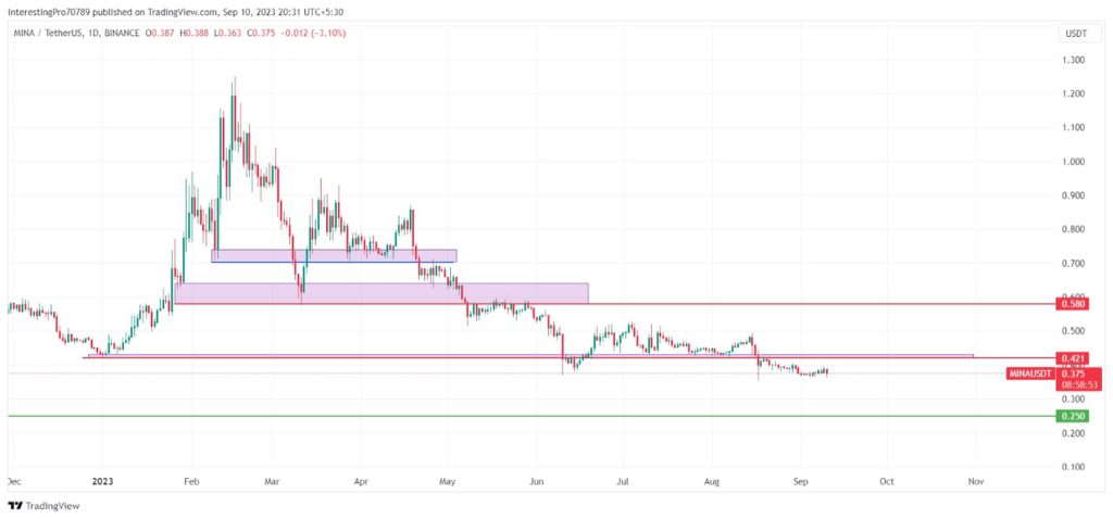 MINA Coin Price Prediction: Will the price continue its fall?