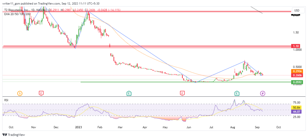T2 Biosystems Stock Continues to Decline. Can It Recover Soon?