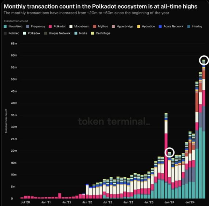 Polkadot monthly transactions