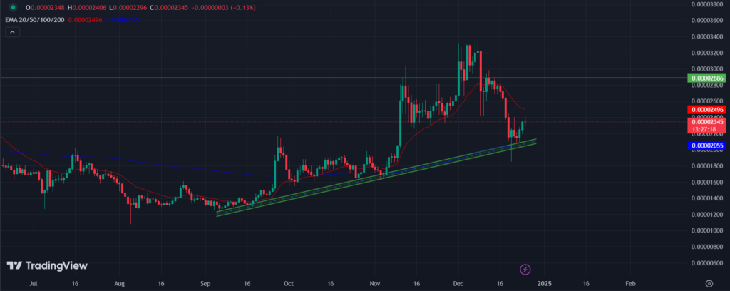 BINANCE: SHIB/USD 1-D Chart