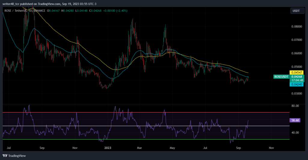 Rose Coin Price: is the price ready to shoot up from this level
