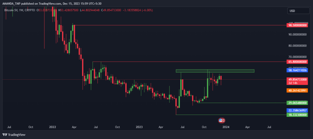  BSV  