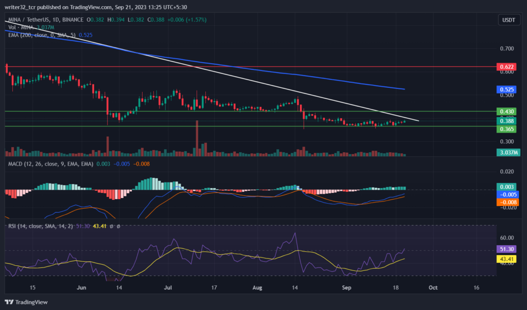 MINA PRICE ANALYSIS : WILL MINA’S PRICE RISE WITH ITS UPGRADE?
