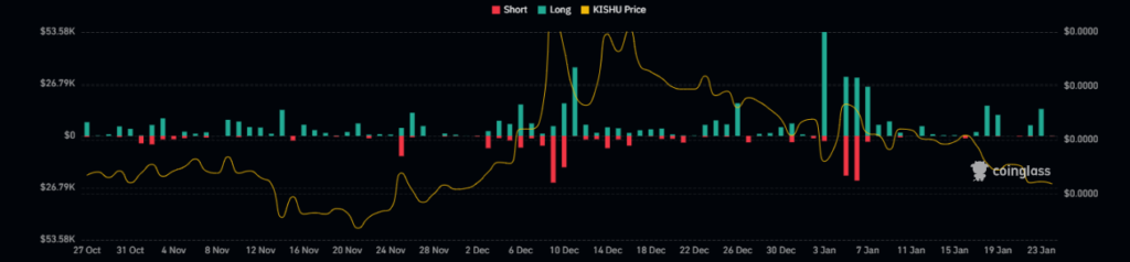 Can KISHU be a Multibagger Pick for Investors in the Future?