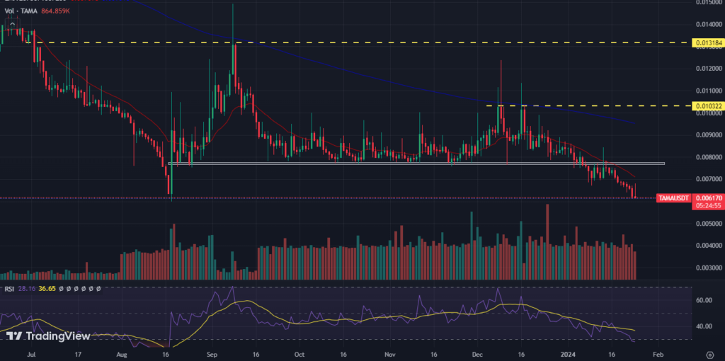Tamadoge Price: TAMA Coin is at an All-time Low; What’s Next?