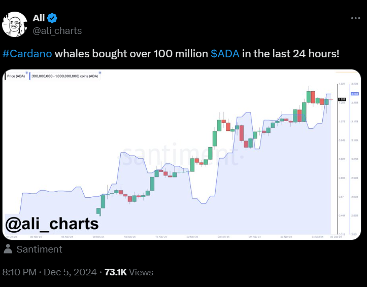 Cardano Price Movement